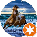 HR Castine profile picture